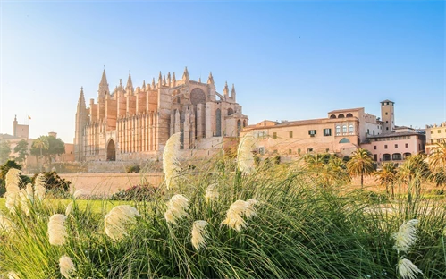 Palma de mallorca