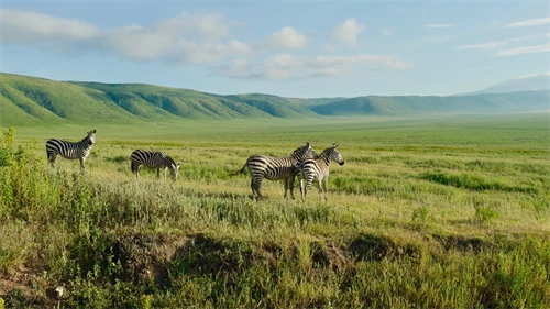 Krater Ngorngoro