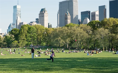 Centralni park