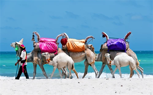 Počitnice na otoku Djerba