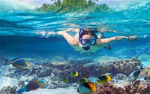 Potapljanje na Maldivih