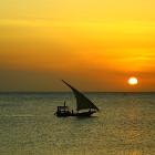 Zanzibar ladjica