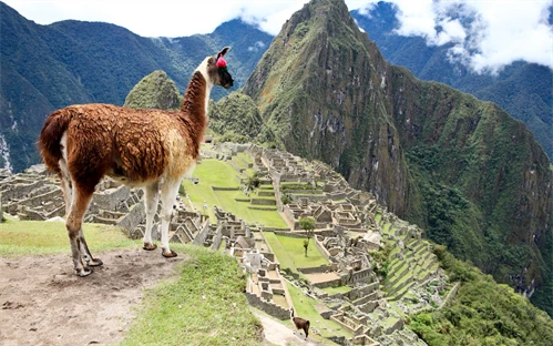 Machu Picchu