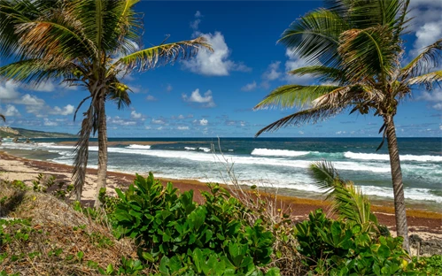 Bathsheba