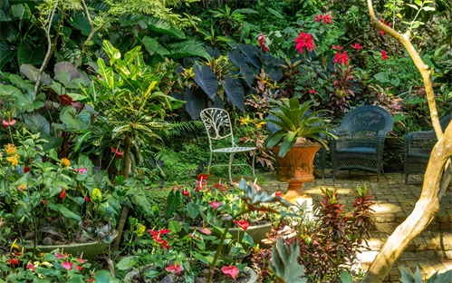 Hunter's garden
