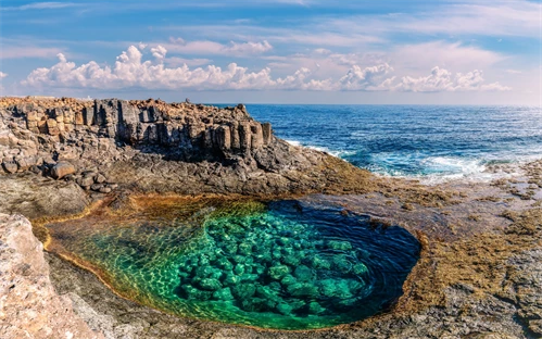 Caleta de fusto