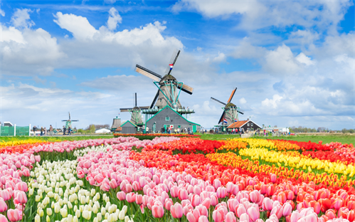 Prvi maj - Nizozemska