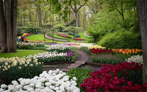 Cvetlični vrt Keukenhof