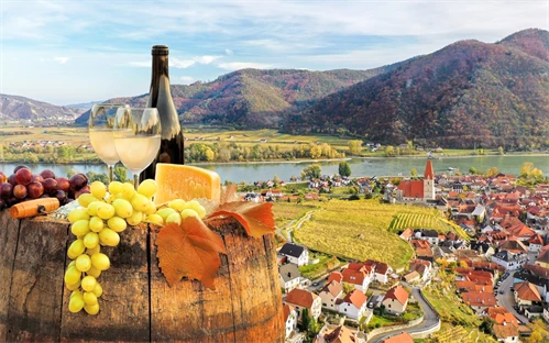 Dolina wachau ponuja pestro izbiro vin