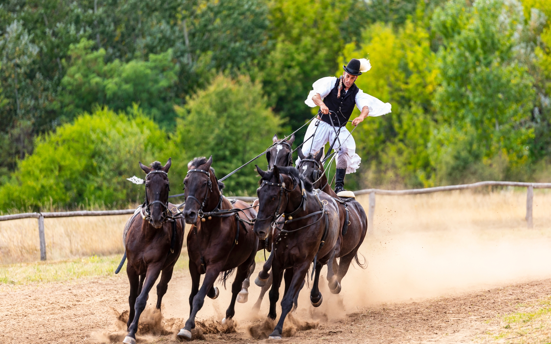 Madžarski govedorejec v tradicionalni obleki pokrajine Hortobagy