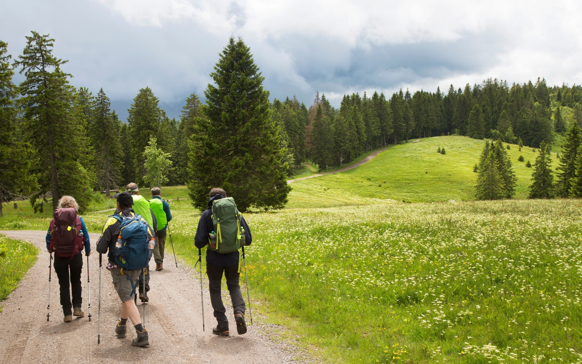 Pohajkovanje po Schwarzwaldovskih gozdovih