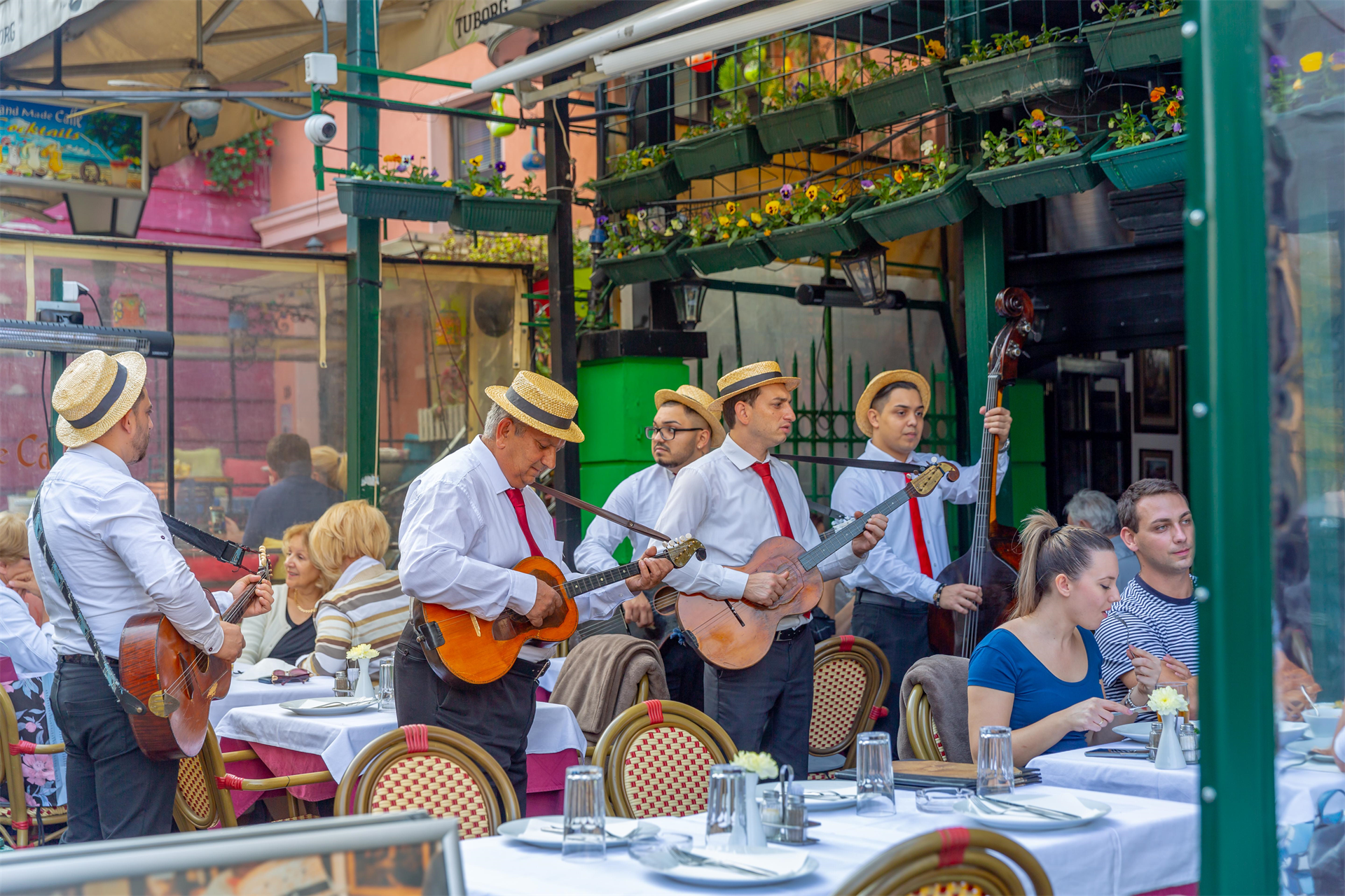 Boemska ulica Skadarlija v Beogradu - Glasba na željo gostov