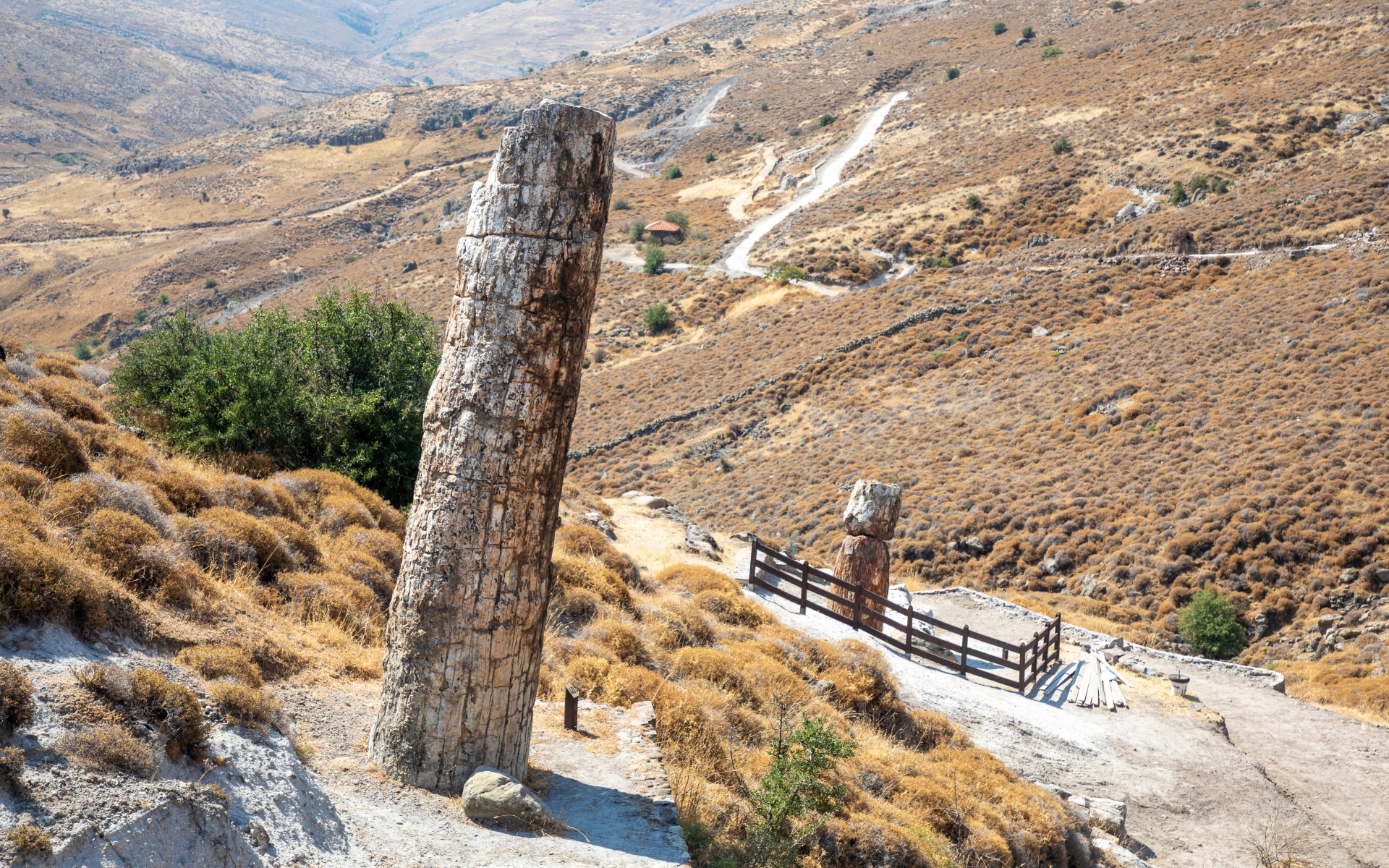 Okameneli gozd pri Sigriju