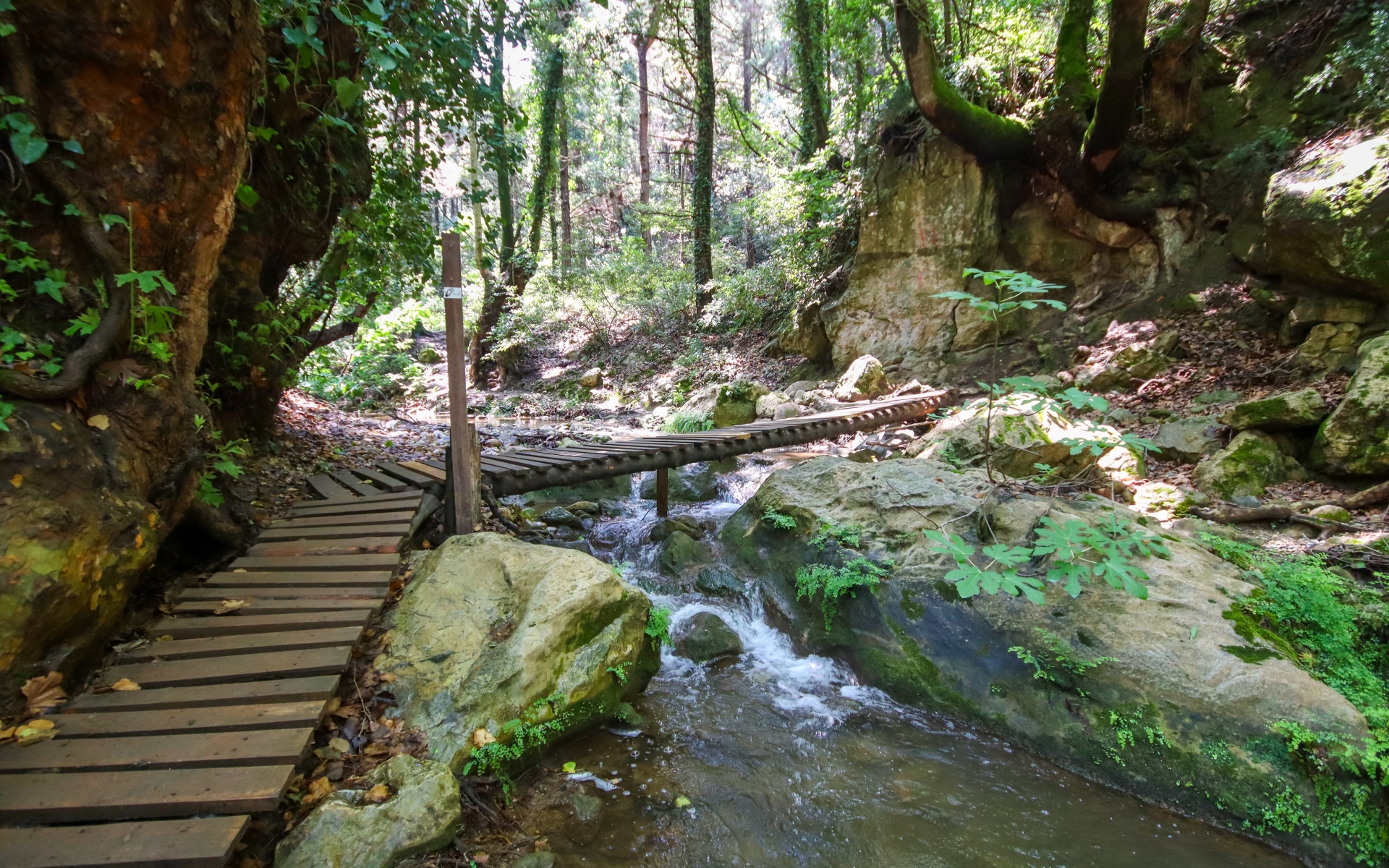 Pot do slapov Potami