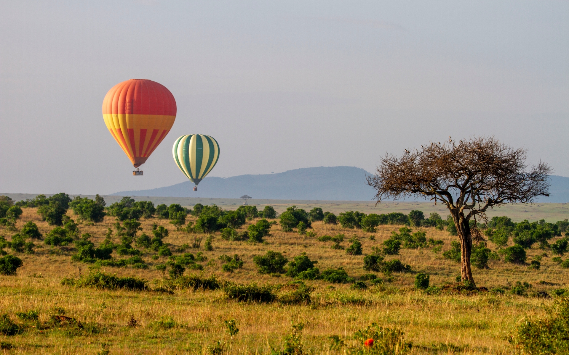Nacionalni park Masai Mara