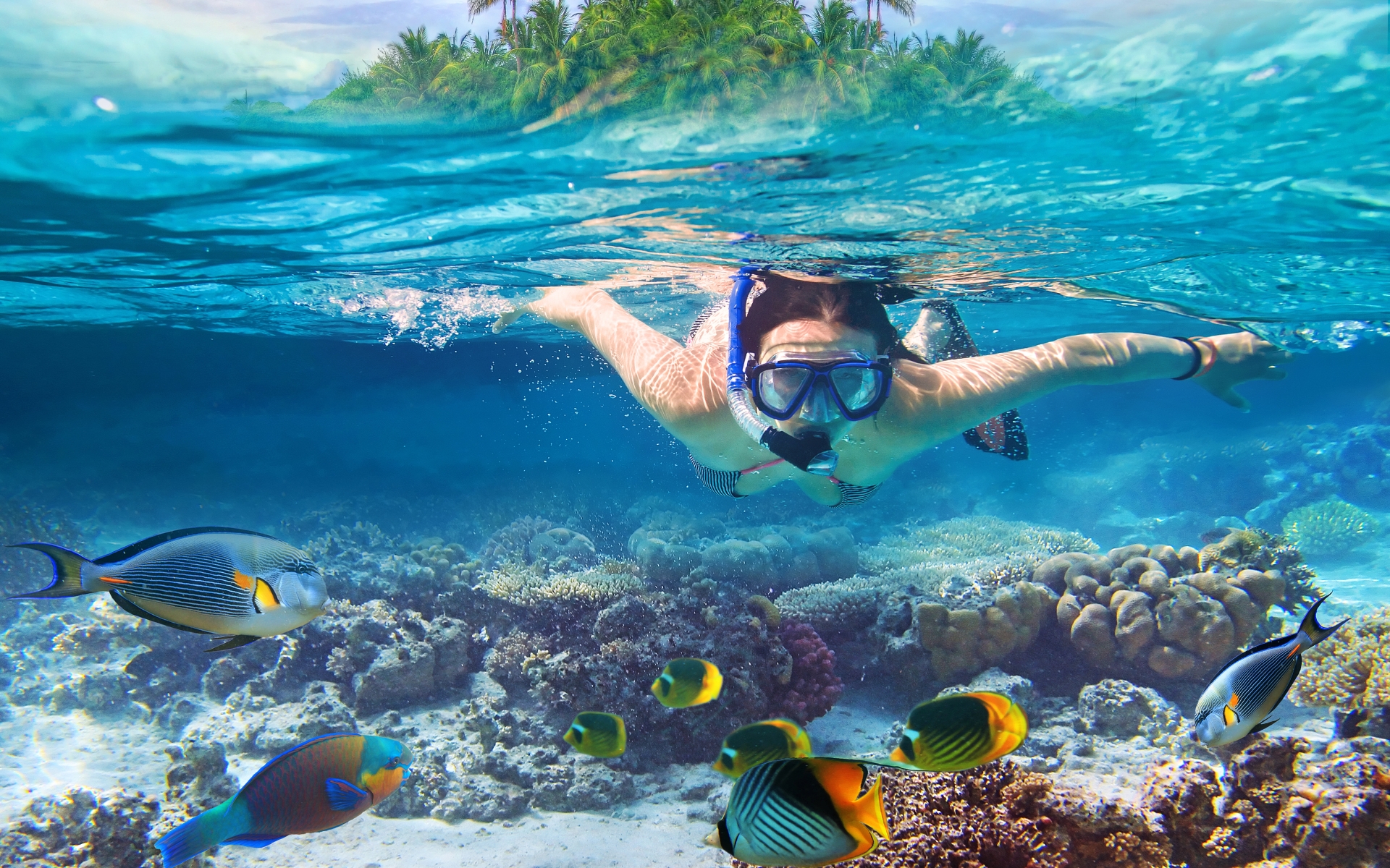 Potapljanje na Maldivih