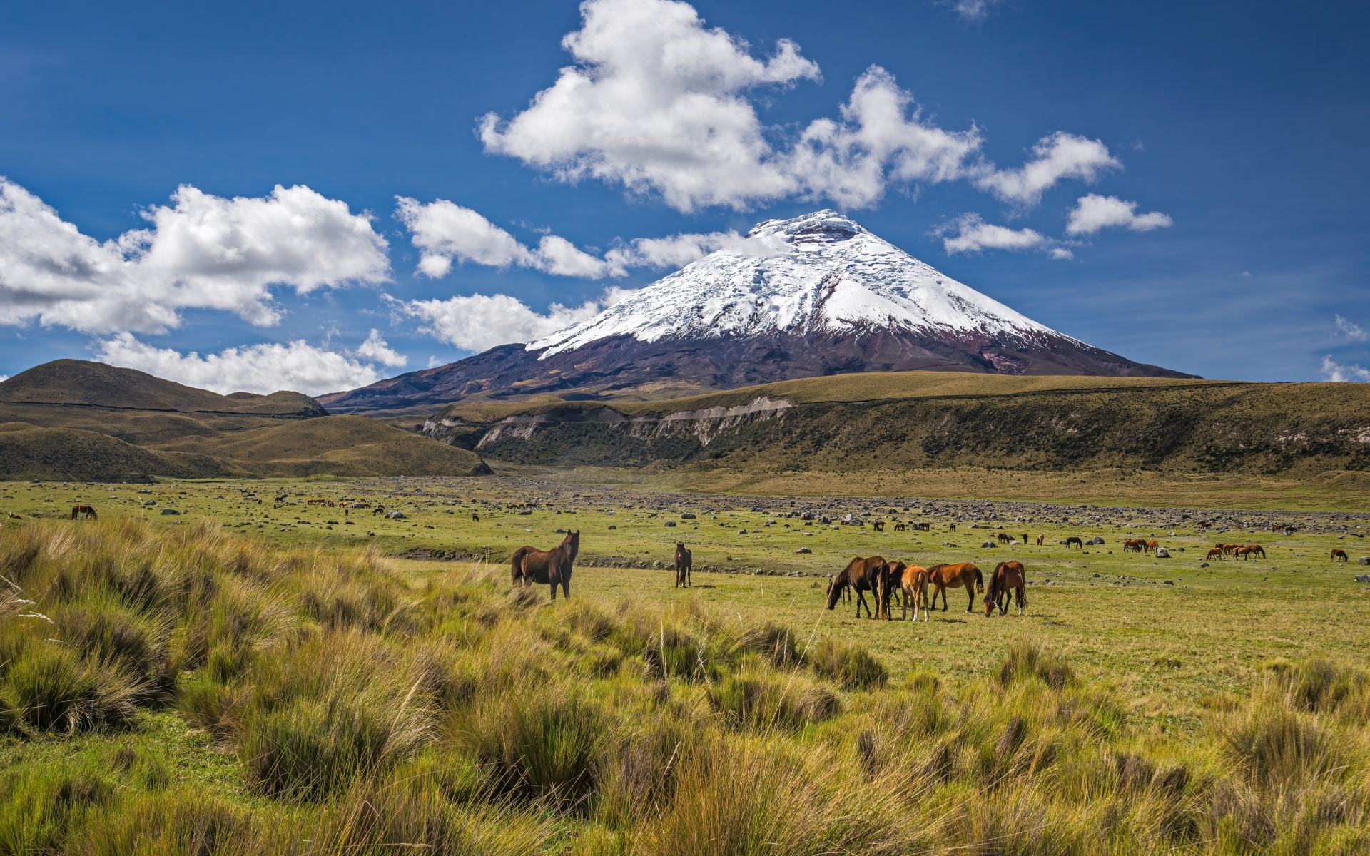 Vulkan Cotopaxi v aveniji vulkanov