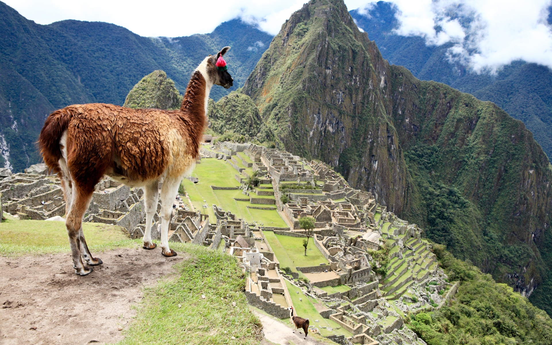 Machu Picchu