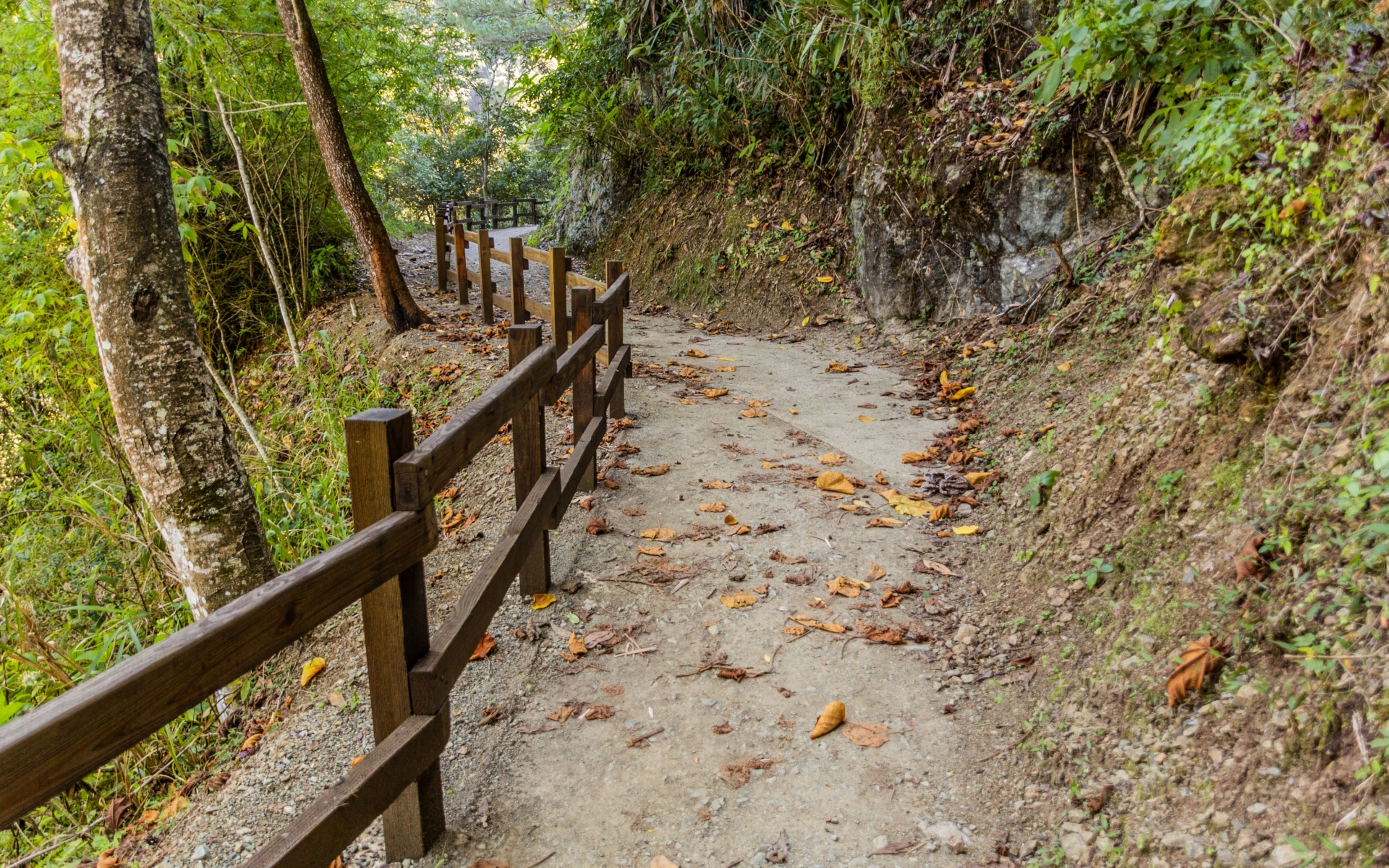 Jarabacoa
