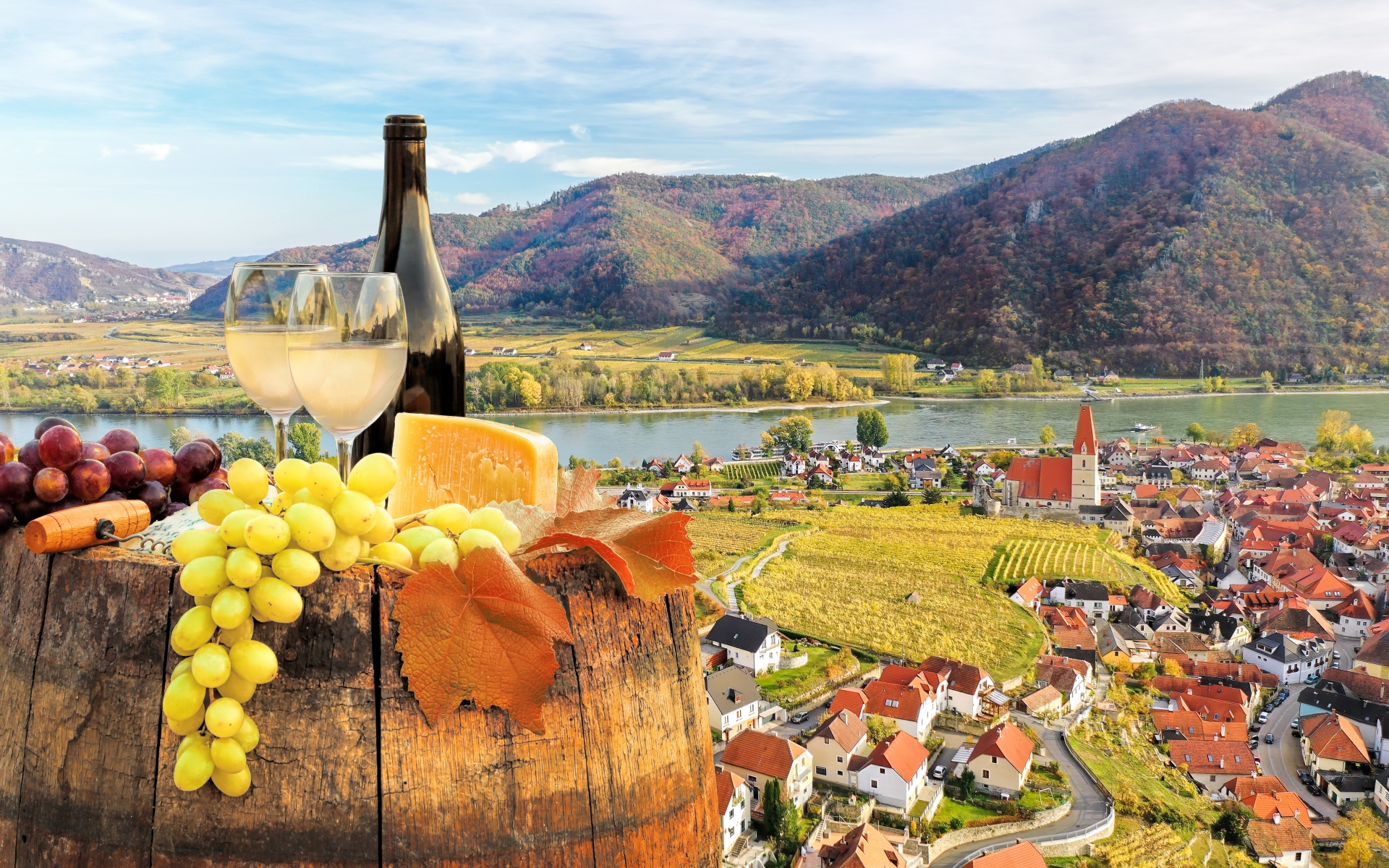Dolina wachau ponuja pestro izbiro vin