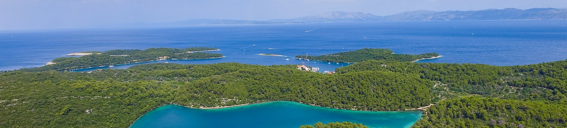 Mljet